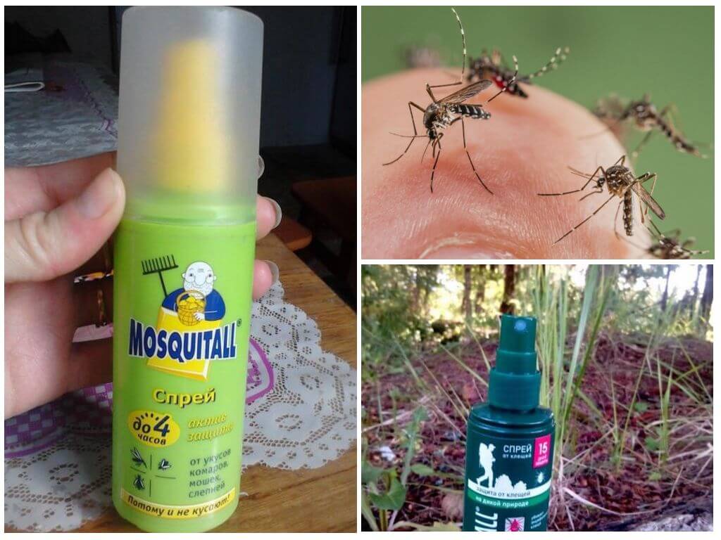 Как защитить своего ребенка летом от комаров