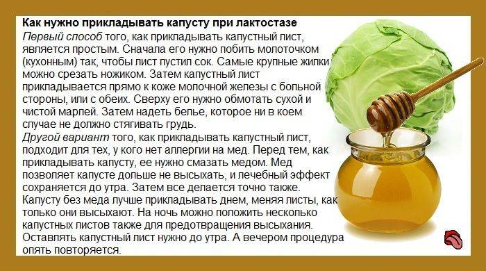 Можно ли давать мед грудничку: со скольки месяцев можно вводить в прикорм, польза и вред