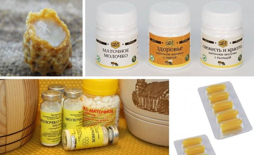 Пчелиное маточное молочко: виды маточного молочка, его лечебные свойства и польза