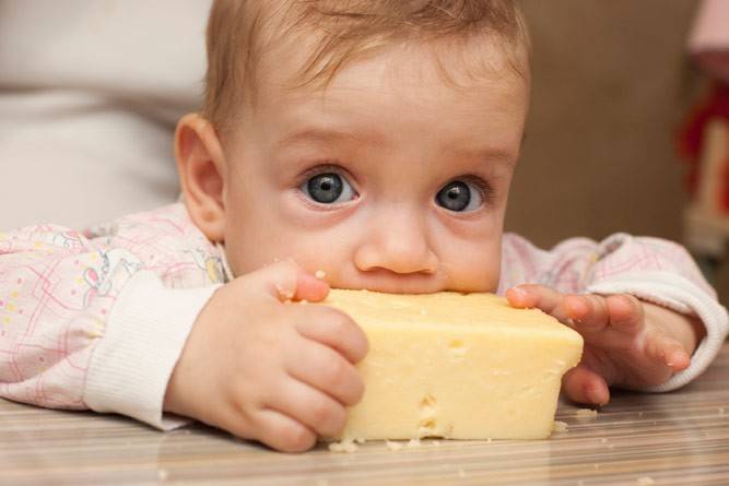 Можно ли детям сыр: какой, с какого возраста, сколько