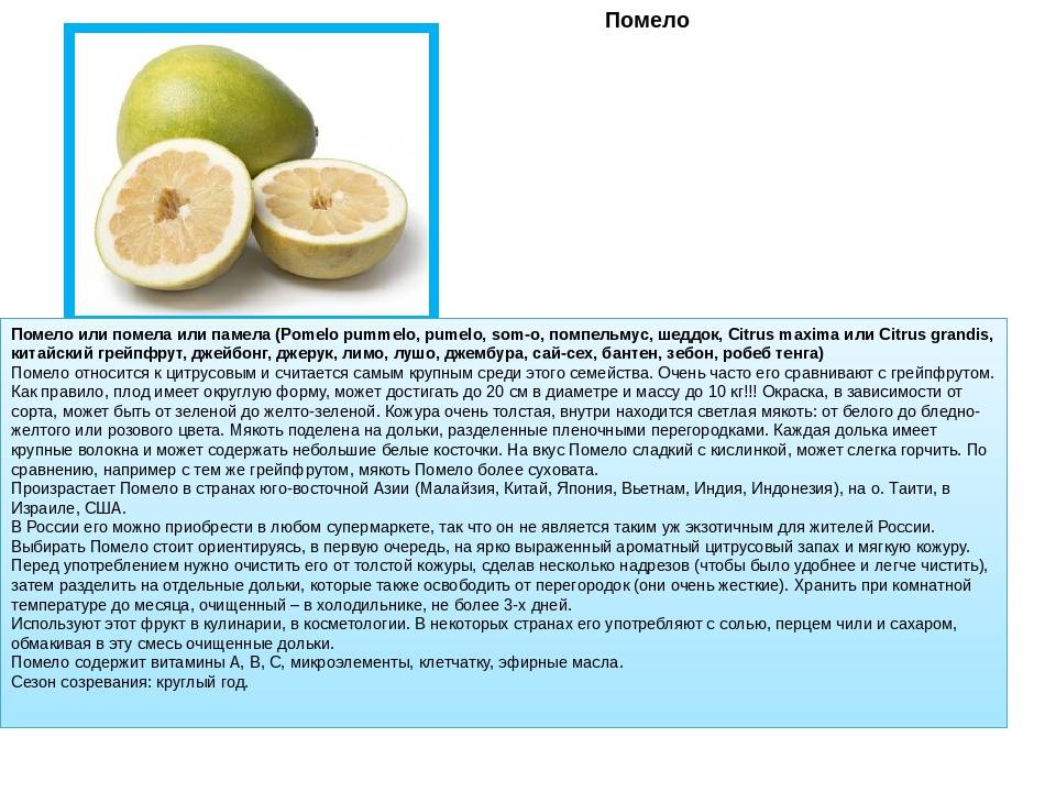 Помело (фрукт): полезные свойства и противопоказания