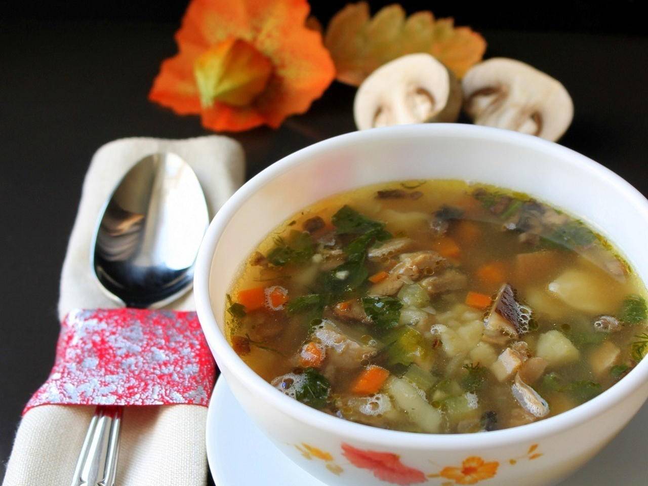 Какие супы можно есть при грудном вскармливании: гороховый, грибной, щавелевый