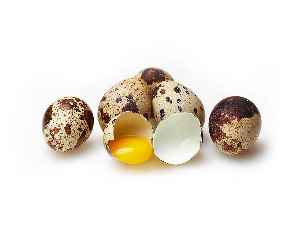 Можно ли яйца при грудном вскармливании? можно ли кормящей маме кушать вареные, жареные куриные и перепелиные яйца?