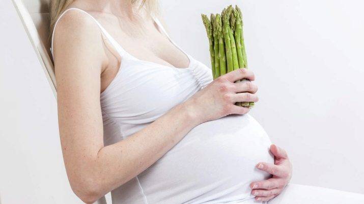 Спаржа при грудном вскармливании: можно ли её есть при гв и беременности, польза и вред спаржи для беременной и кормящей женщины