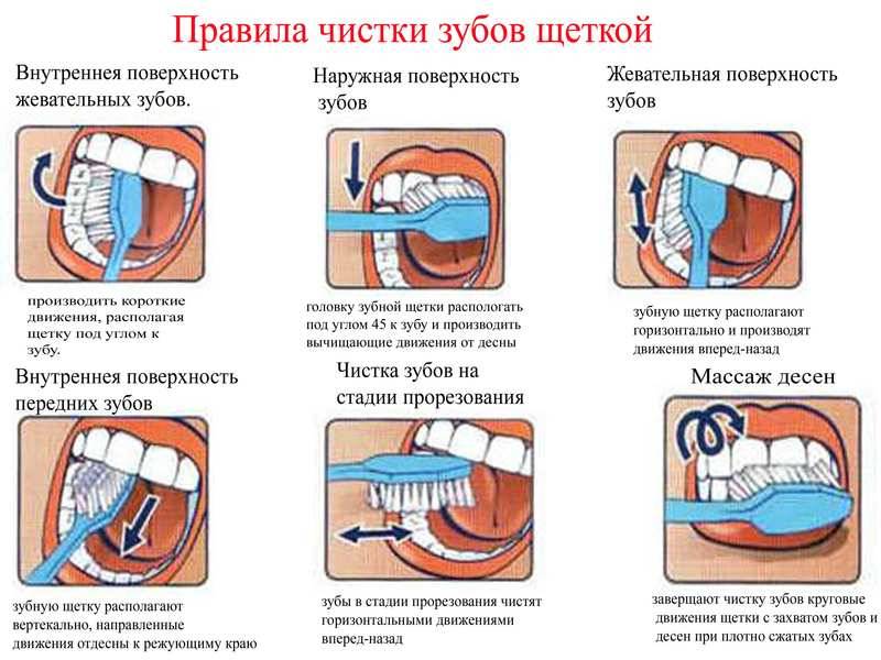 направление зубной щетки при чистке зубов