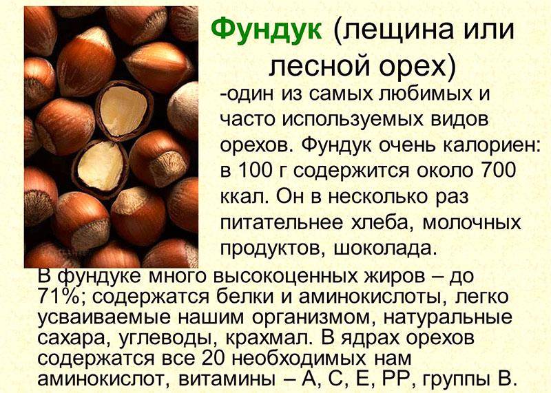 Есть ли вред от употребления грецких орехов при беременности и грудном вскармливании, как применять при лактации и прочие нюансы medistok.ru - жизнь без болезней и лекарств