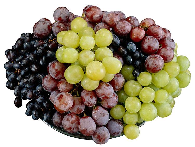 Виноград при грудном вскармливании