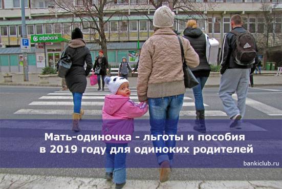 Пособия и льготы матери одиночке в москве 2021 год. - права семей