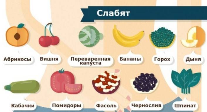 Какие фрукты и овощи помогают от запора