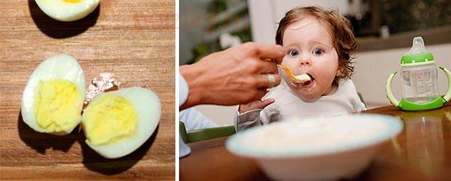 Желток для грудничка: полезен ли этот продукт, и как его давать малышу | малыш здоров!