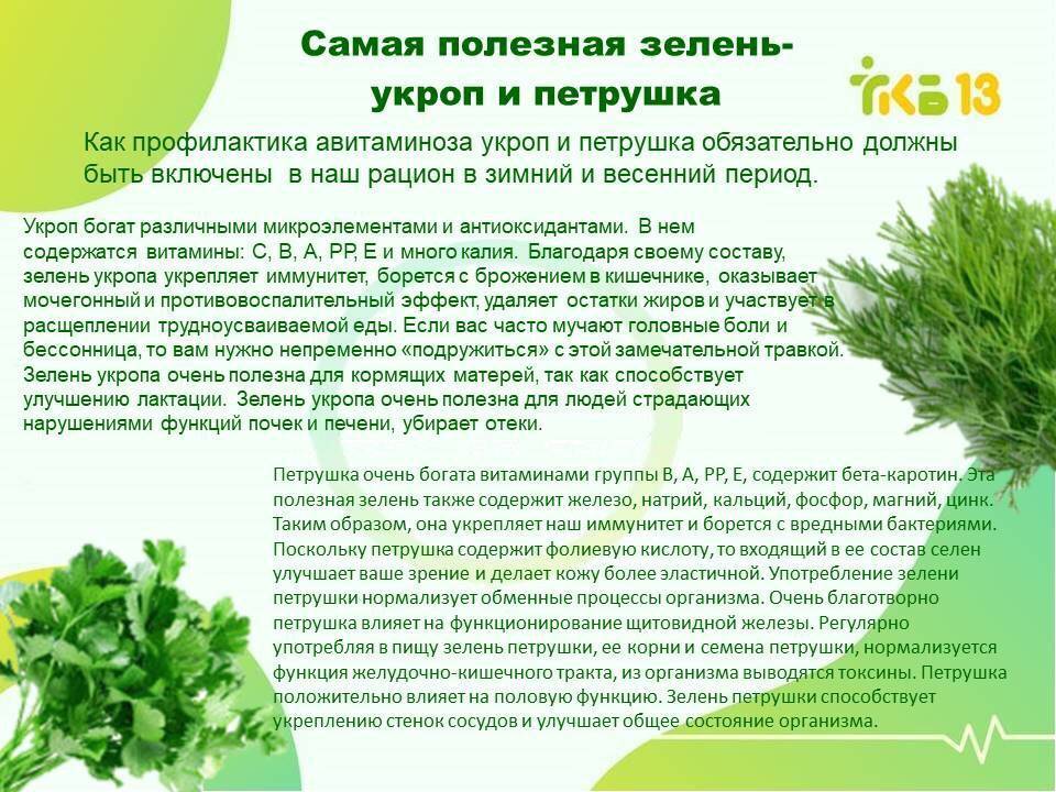 Польза листьев салата для похудения и пищеварения. чем полезны листья салата при кашле и анемии. химический состав и калорийность салата листового.