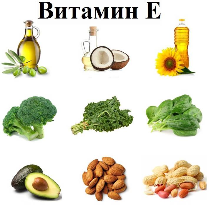 В каких продуктах содержится витамин е