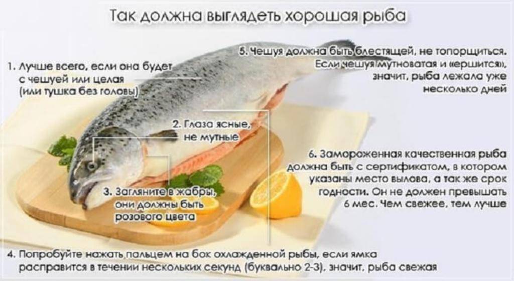 Какую рыбу можно есть кормящей матери? можно ли употреблять копченую, жареную, вяленую, соленую и сушеную при грудном вскармливании в первый месяц?