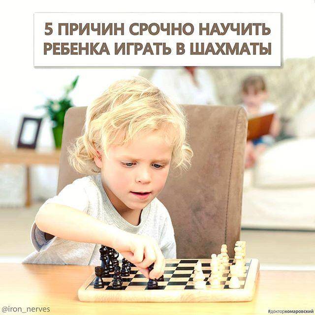 Польза шахмат для детей: что развивают и как научить играть