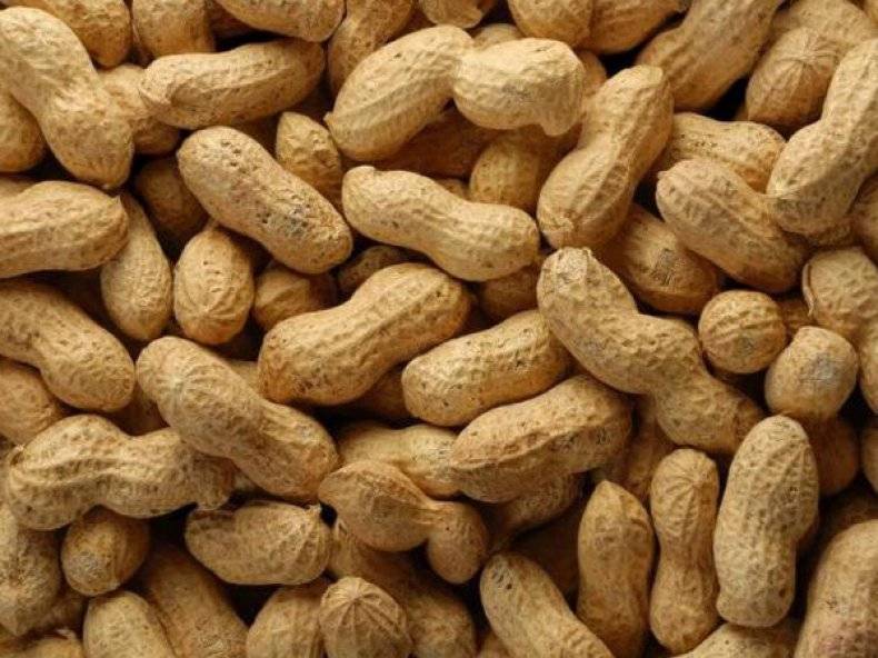 Можно ли арахис при грудном вскармливании кормящим мамам: особенности употребления, в том числе жареных орехов и арахисовой пасты