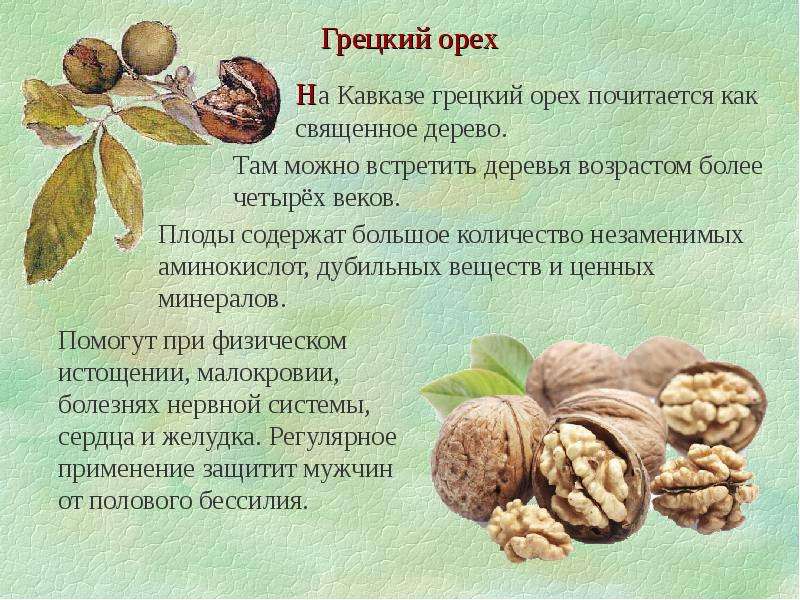 Грецкий орех детям — можно ли давать, польза и вред