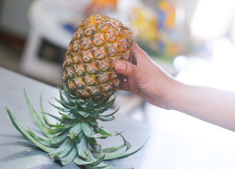 Где и как правильно хранить ананас в домашних условиях