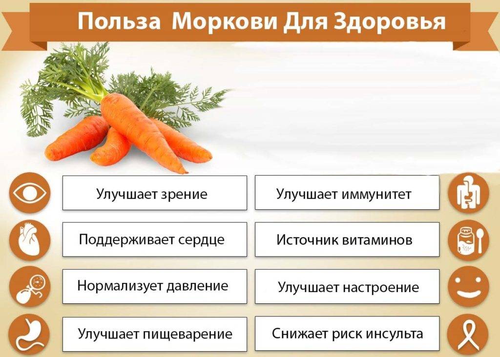 Морковный сок при беременности : польза и вред | компетентно о здоровье на ilive