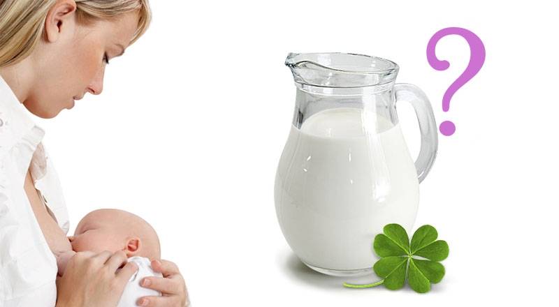 Можно ли маме пить молоко при грудном вскармливании ребенка?