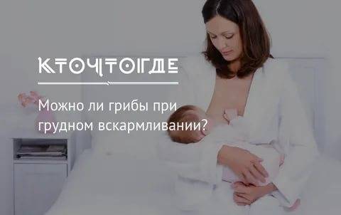 Ежевика при беременности: полезна как для мамы, так и для малыша. можно ли при грудном вскармливании ежевику