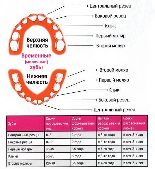 Лечение молочных зубов Томск Семафорный спорт томск