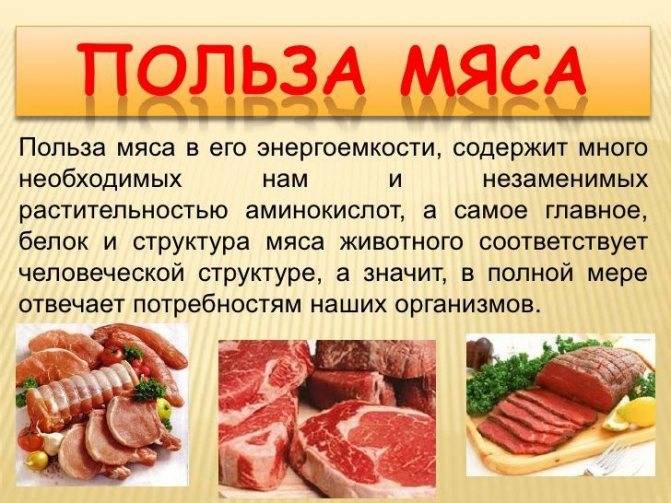 Мясо при грудном вскармливании: какое выбрать