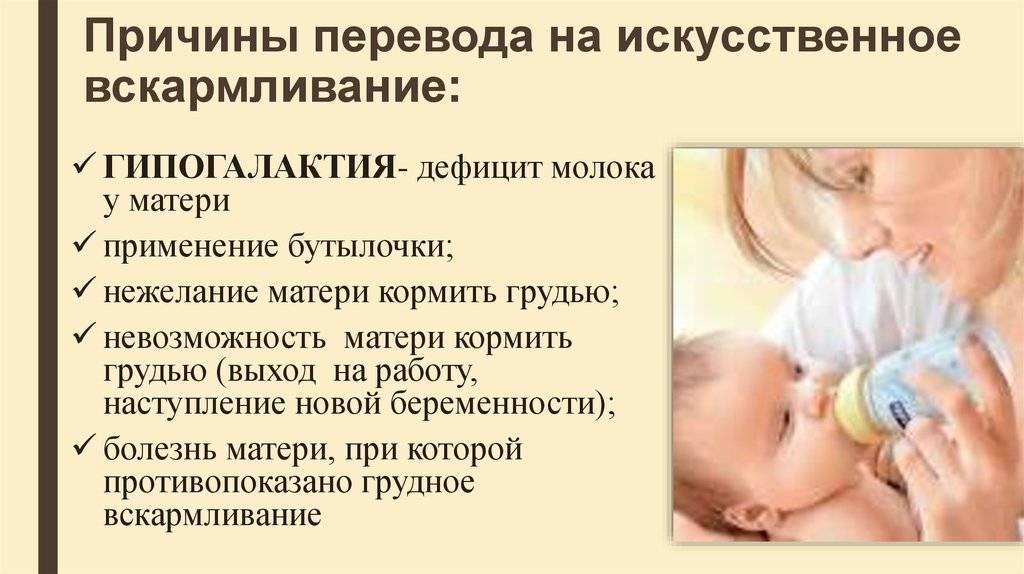 Сметана при грудном вскармливании