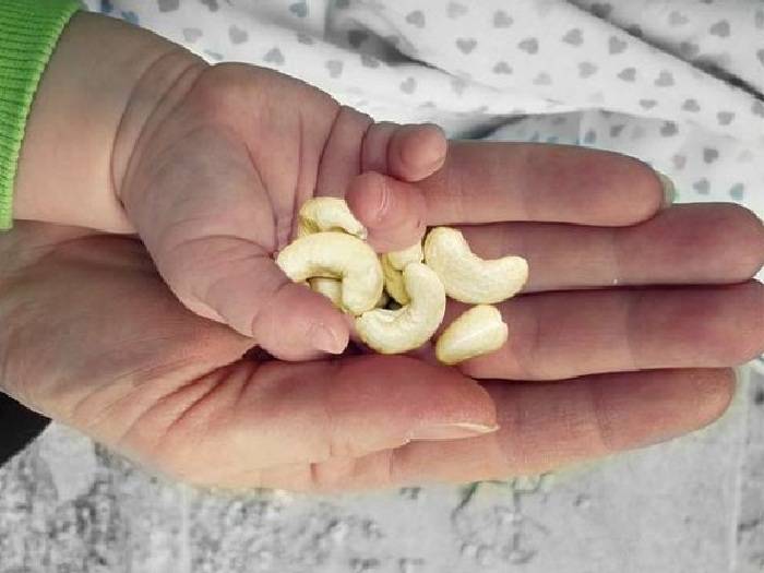 Какие орехи самые полезные для детей