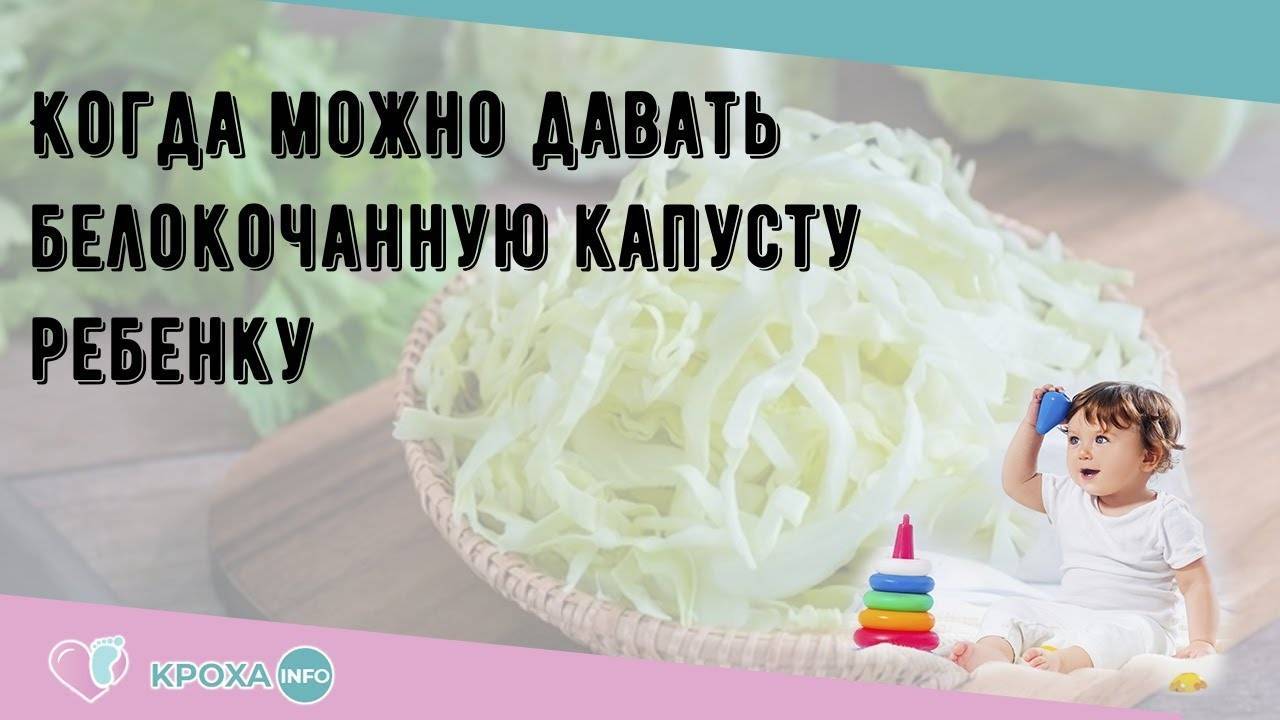 Когда можно давать ребенку белокочанную капусту: важные правила – проовощи.ру