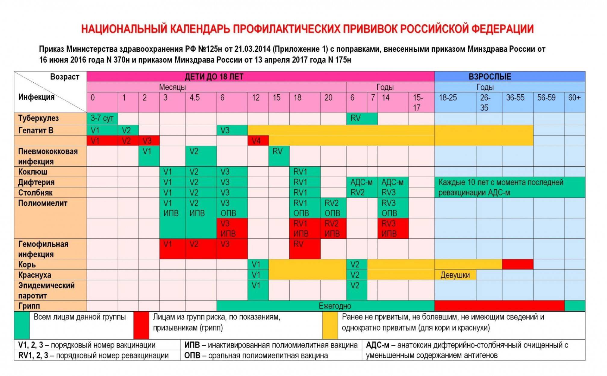 Календарь прививок для детей до 1 года в россии: сроки и особенности вакцинации