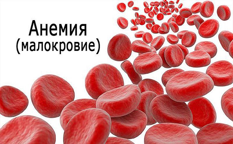 Железодефицитная анемия - что покажет анализ крови на железо? часть 1