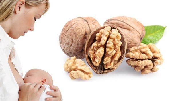 Грецкие орехи при грудном вскармливании: можно ли кормящей маме