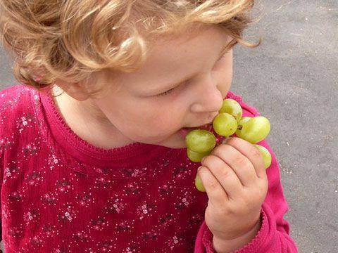Когда можно давать ребенку виноград