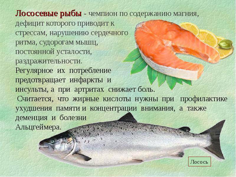 Питание ребенка: рыбный стол. как выбрать рыбу для первого прикорма
