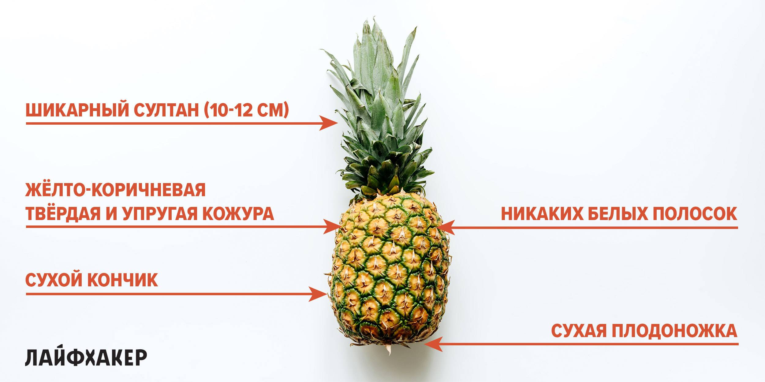 Как выбрать спелый, сладкий и сочный ананас правильно