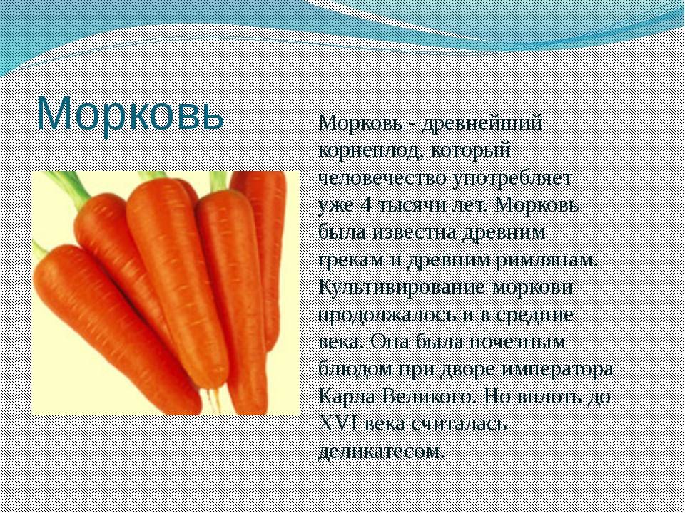 Морковь при грудном вскармливании: можно ли в первый месяц, когда лучше вводить в рацион, можно ли пить морковный сок