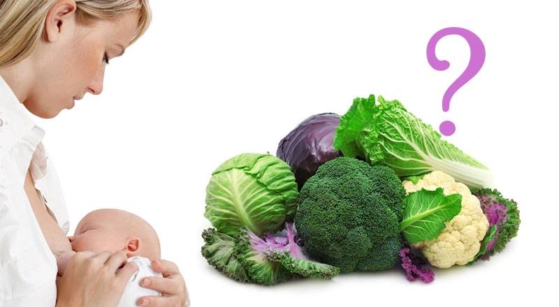 Польза брокколи при грудном вскармливании и рецепты с капустой для кормящих мам