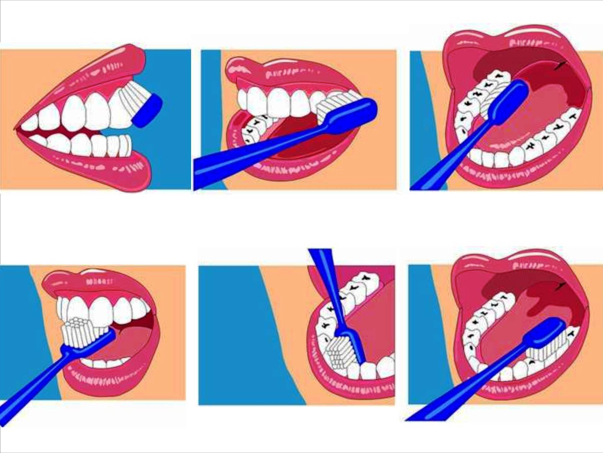 как чистить зубы правильно зубной щеткой детям